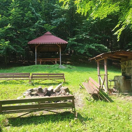 Apartament Widokowy Z Tarasem Bukowa Висла Экстерьер фото